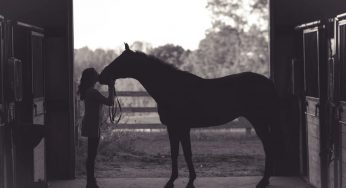 5 Tips to Keep Your Horse Comfortable During Winter Storms