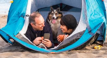Taking Your Dog On Holiday