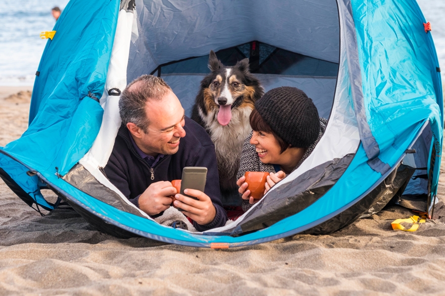 Taking Your Dog On Holiday