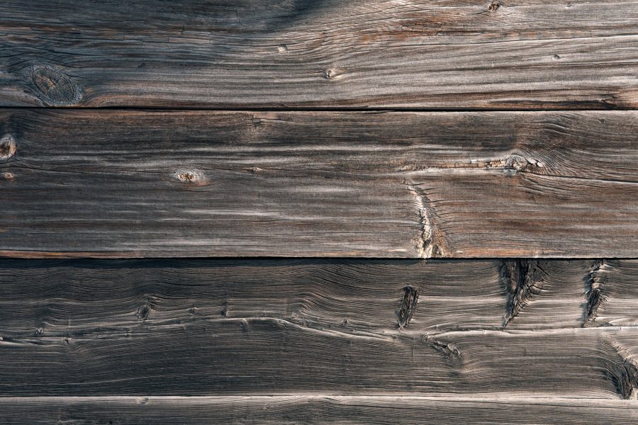 Wings and Dust: 4 Signs Of Termites to Look For